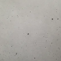 Bauhaus Meisterhaus GIF